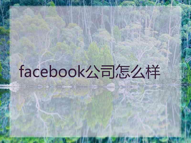 facebook公司怎么样