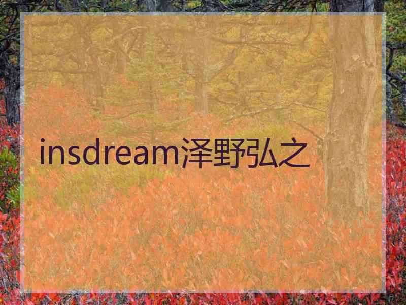 insdream泽野弘之