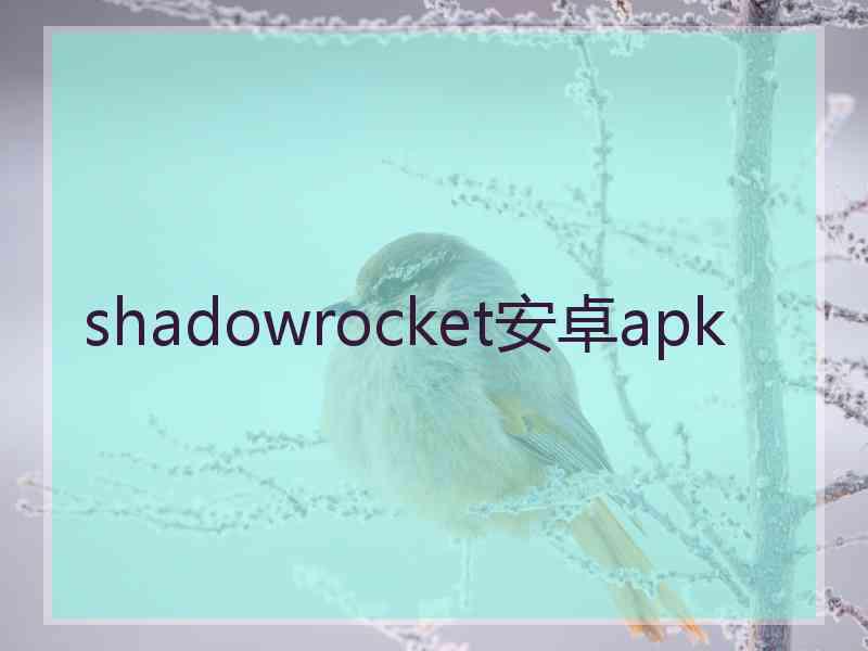 shadowrocket安卓apk