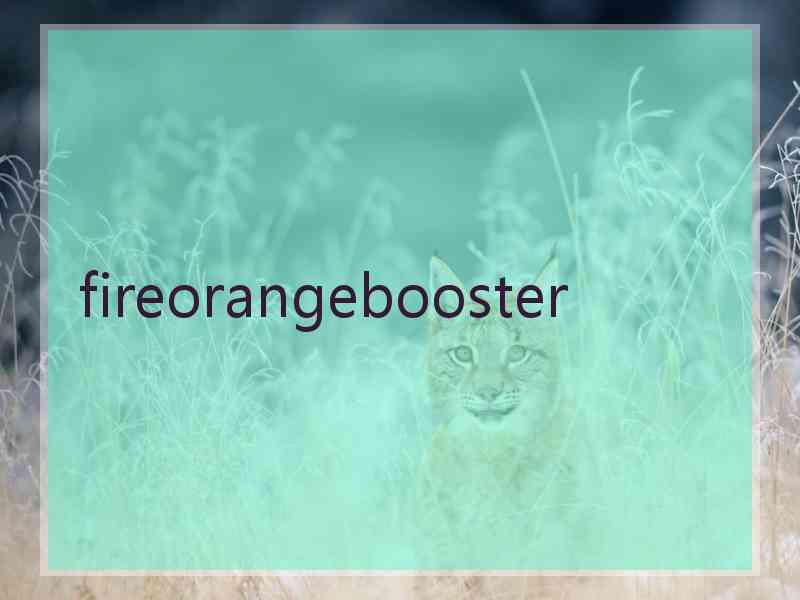 fireorangebooster