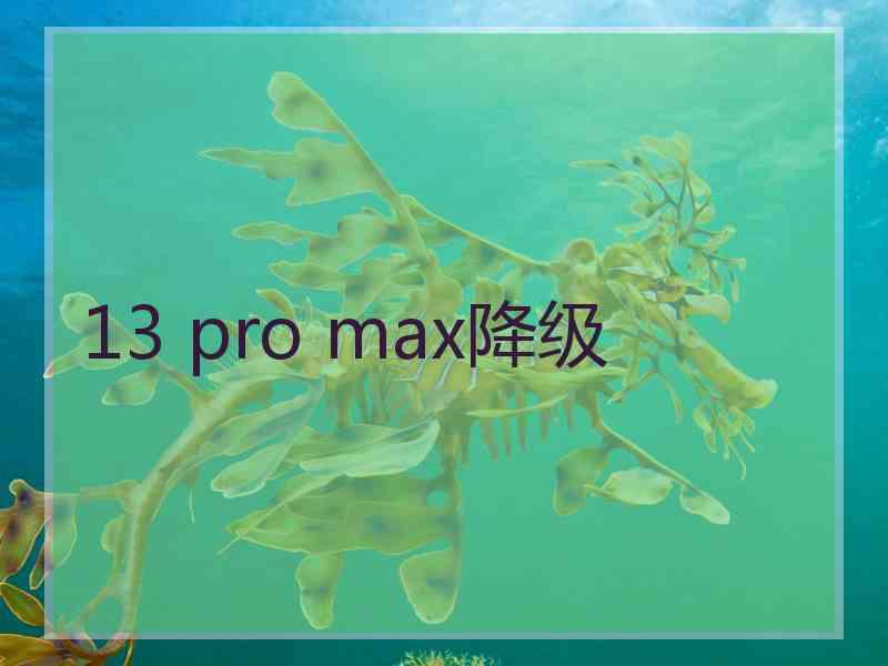 13 pro max降级