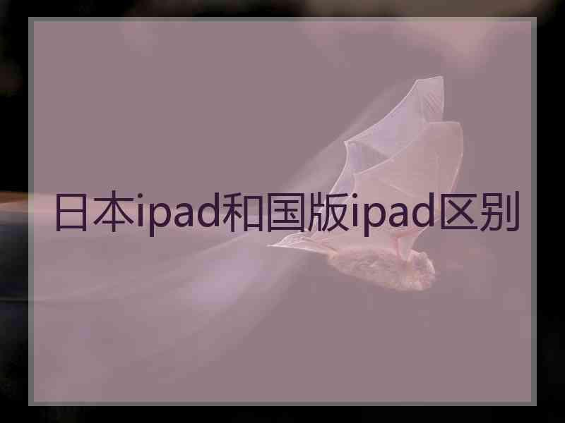 日本ipad和国版ipad区别