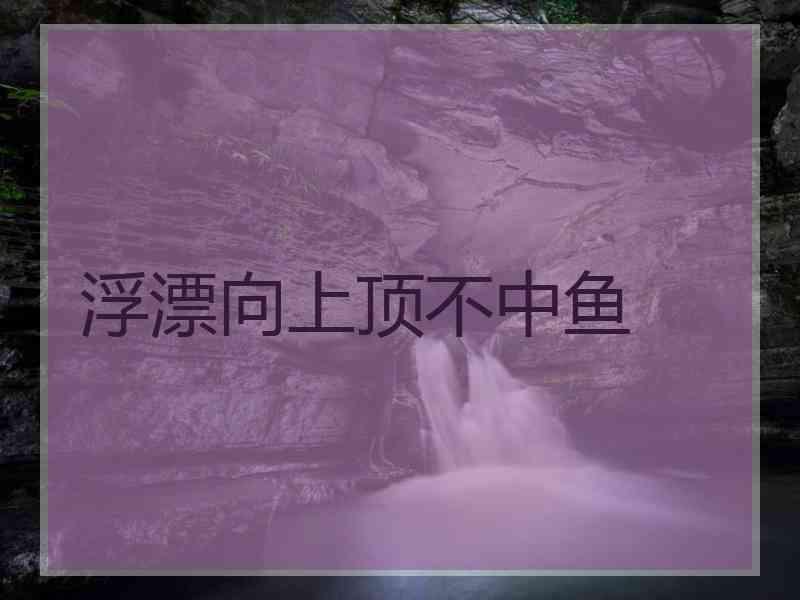 浮漂向上顶不中鱼