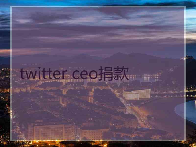 twitter ceo捐款