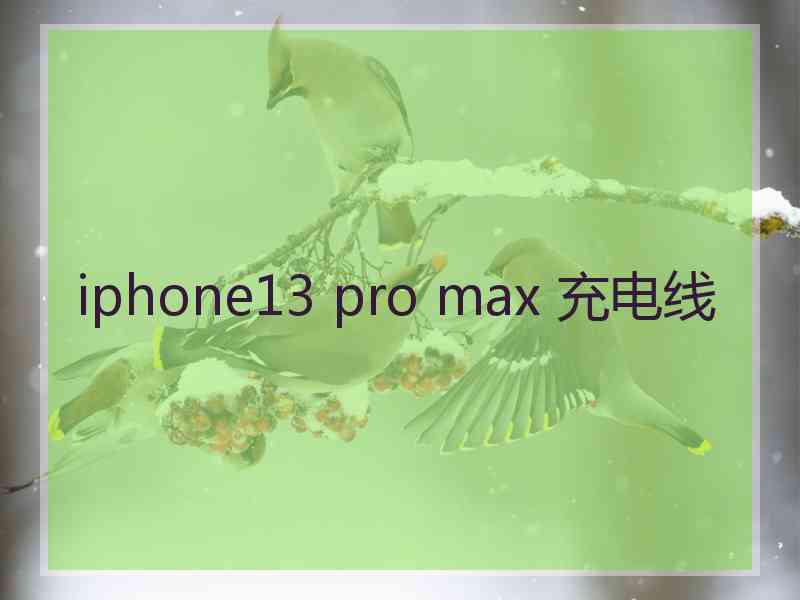 iphone13 pro max 充电线