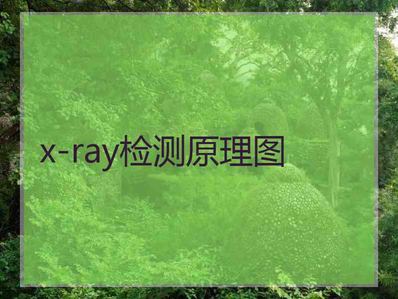 x-ray检测原理图