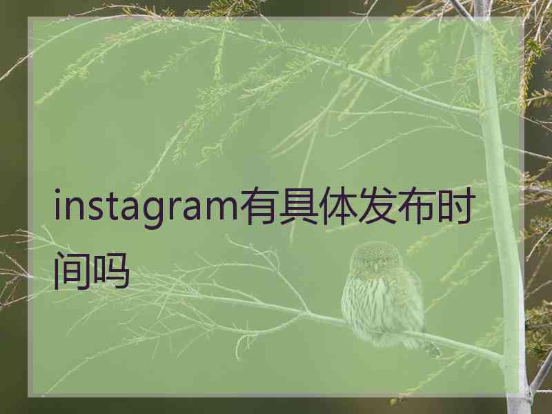 instagram有具体发布时间吗