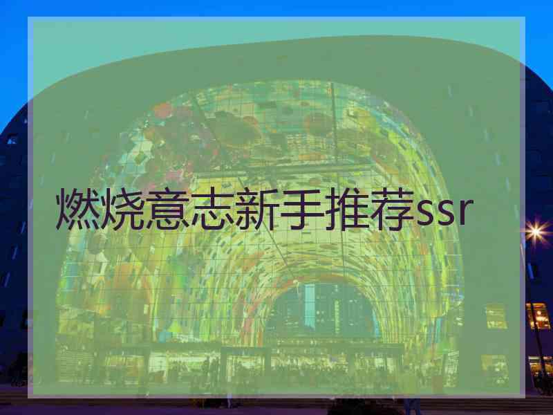 燃烧意志新手推荐ssr