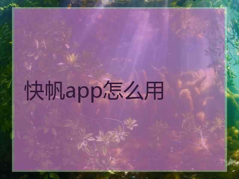 快帆app怎么用