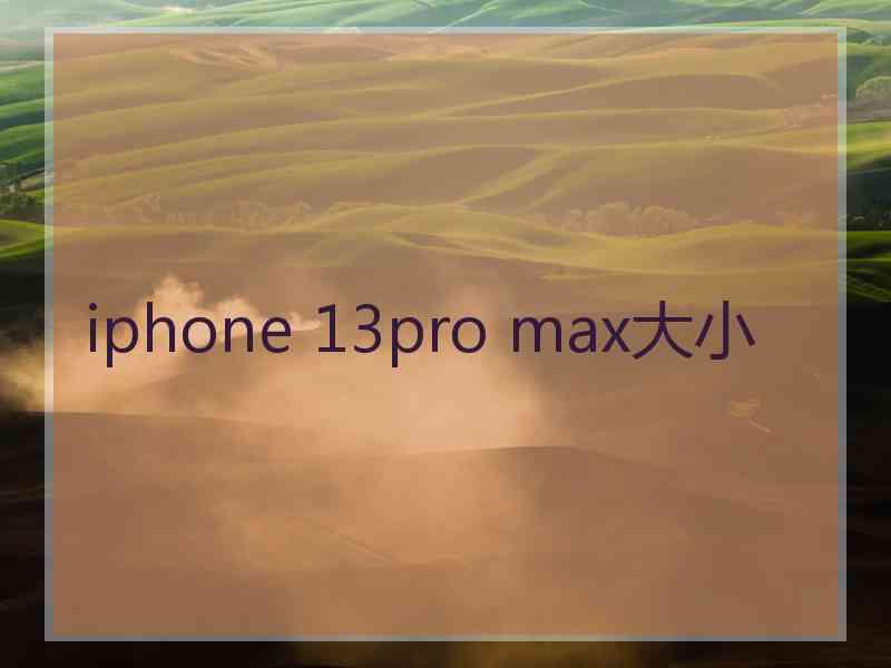 iphone 13pro max大小