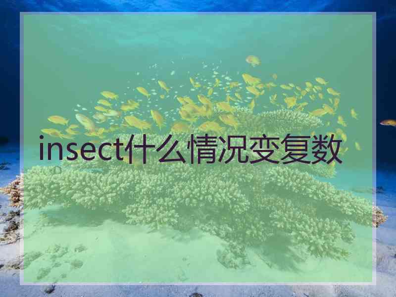 insect什么情况变复数