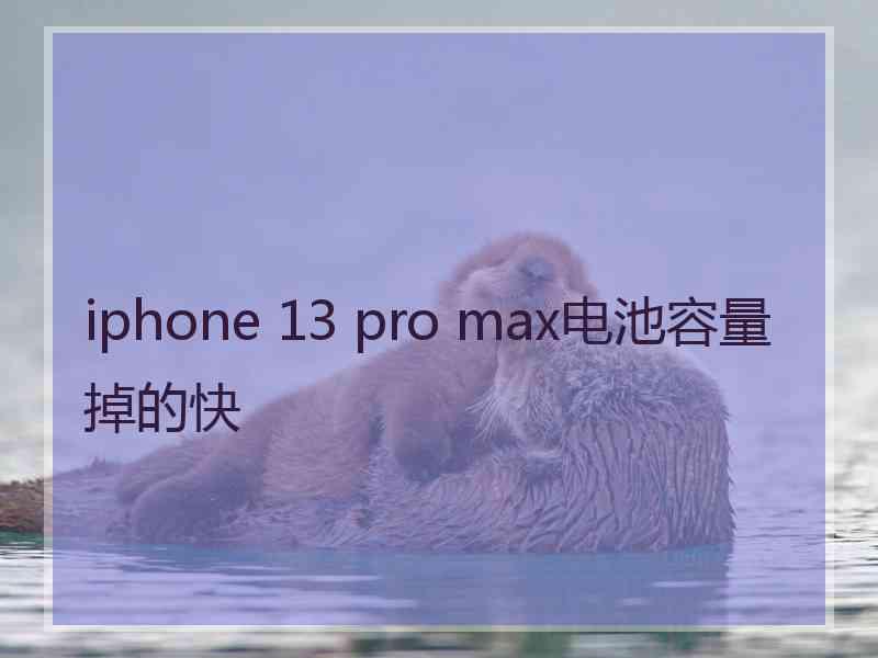 iphone 13 pro max电池容量掉的快