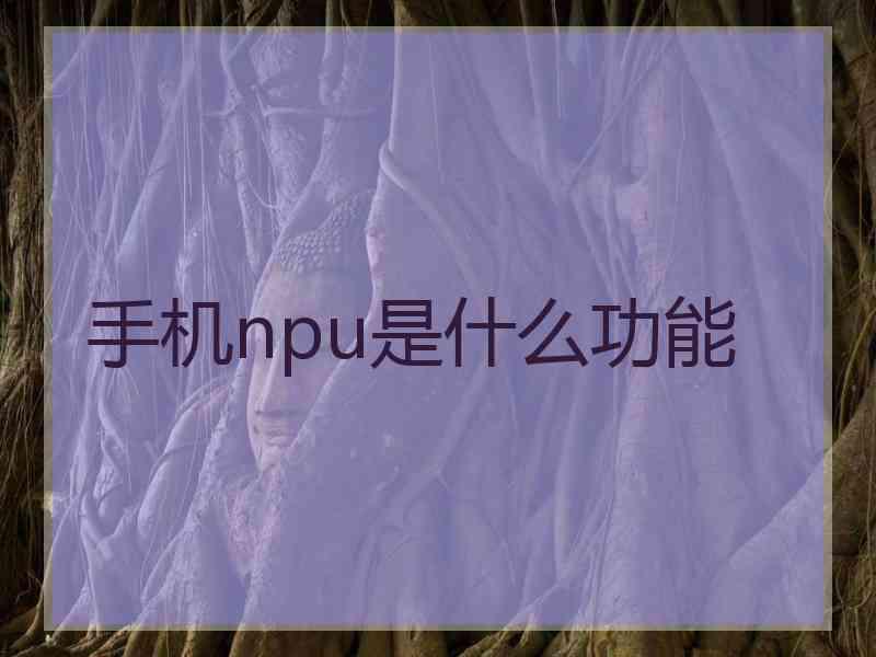 手机npu是什么功能