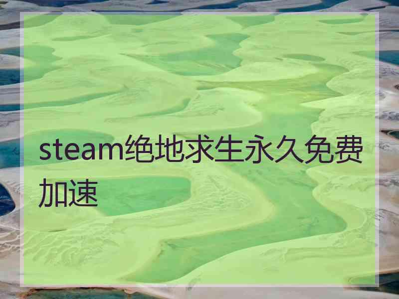 steam绝地求生永久免费加速