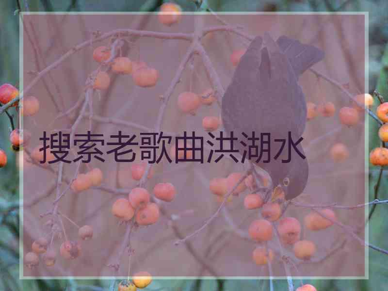 搜索老歌曲洪湖水