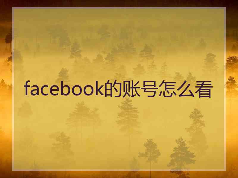 facebook的账号怎么看