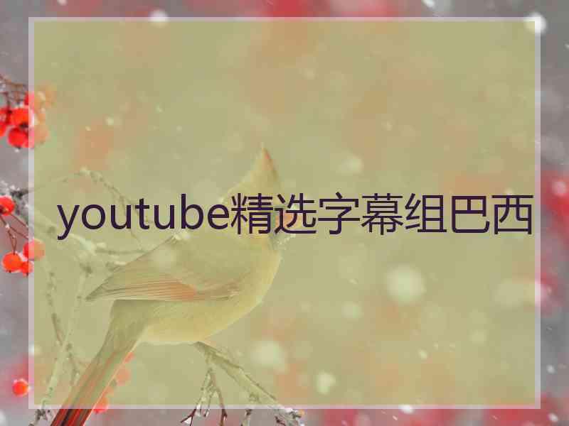 youtube精选字幕组巴西