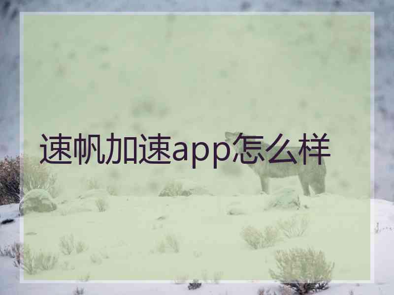 速帆加速app怎么样