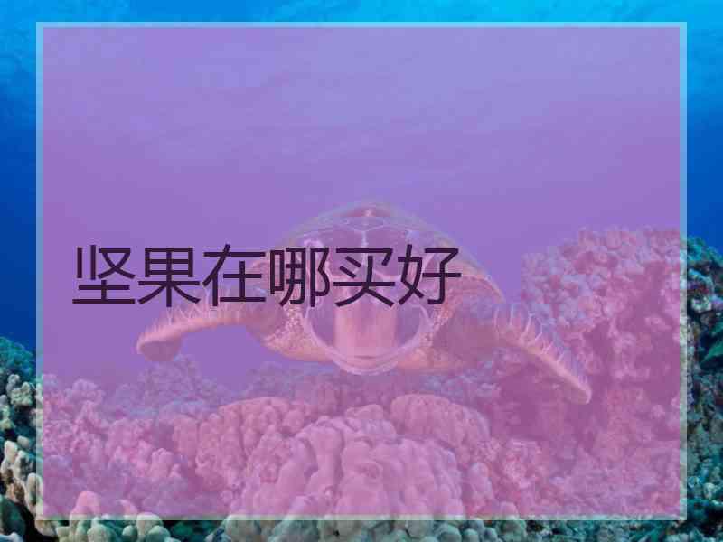 坚果在哪买好