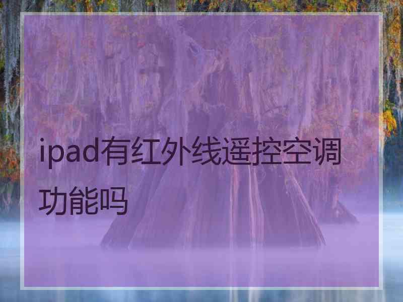 ipad有红外线遥控空调功能吗