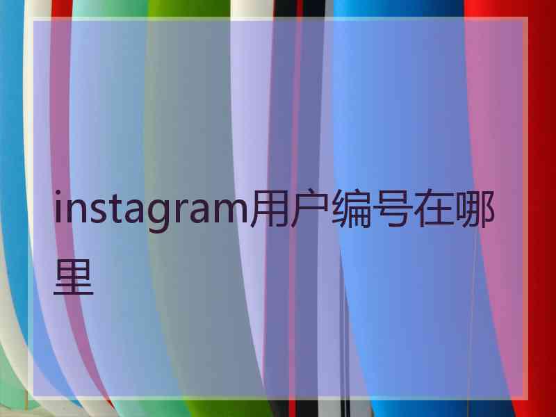 instagram用户编号在哪里