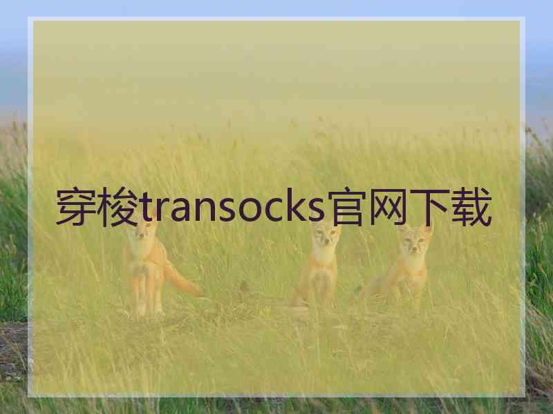 穿梭transocks官网下载