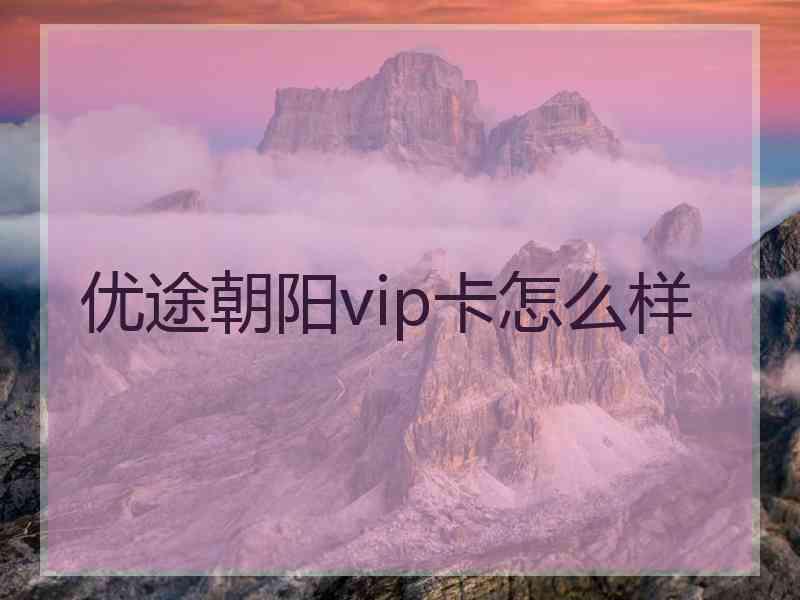 优途朝阳vip卡怎么样