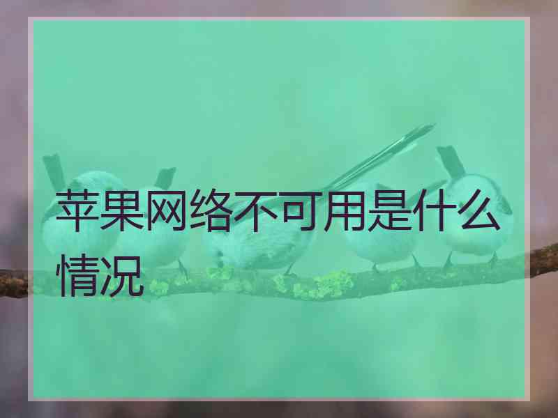 苹果网络不可用是什么情况