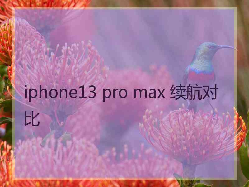 iphone13 pro max 续航对比