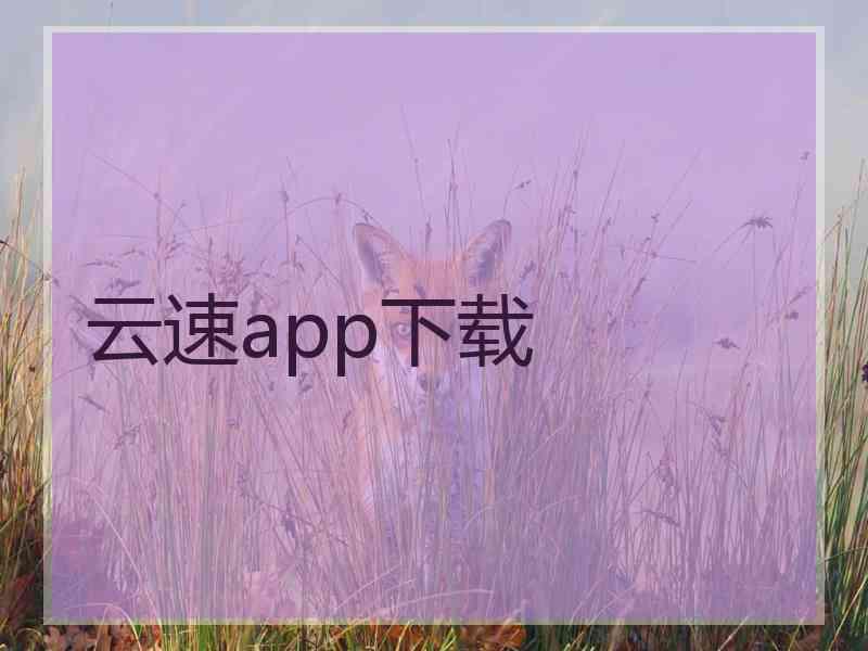 云速app下载