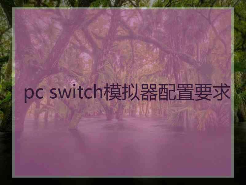 pc switch模拟器配置要求