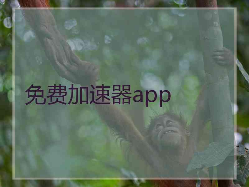 免费加速器app