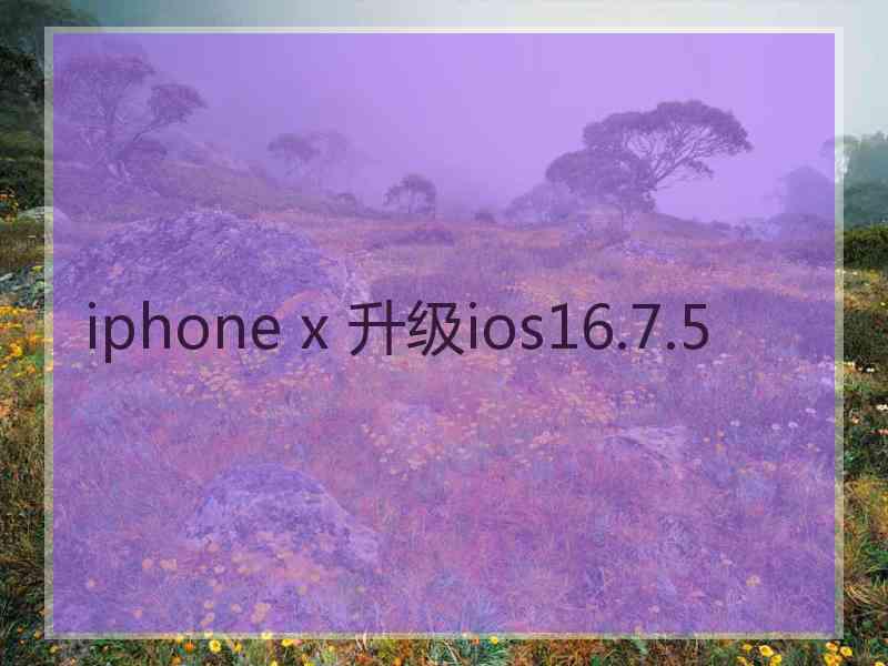 iphone x 升级ios16.7.5