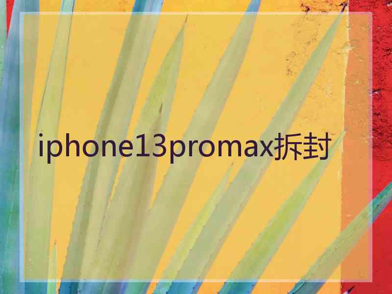 iphone13promax拆封