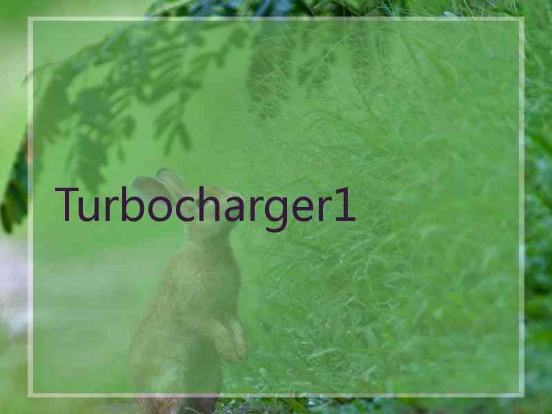 Turbocharger1