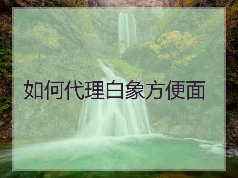 如何代理白象方便面