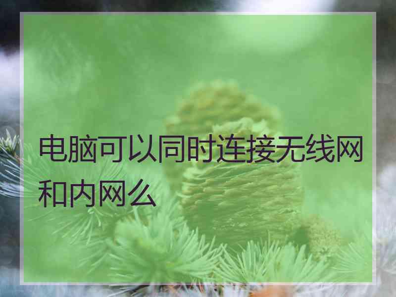 电脑可以同时连接无线网和内网么