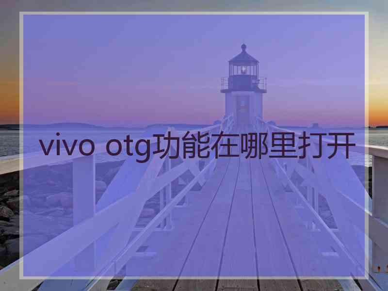 vivo otg功能在哪里打开