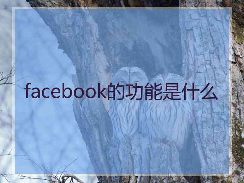 facebook的功能是什么