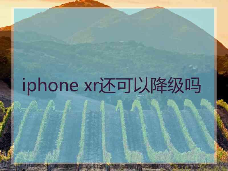 iphone xr还可以降级吗