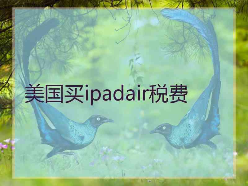 美国买ipadair税费