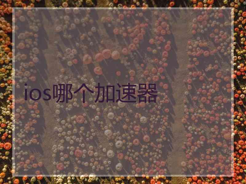 ios哪个加速器