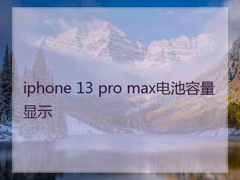 iphone 13 pro max电池容量显示