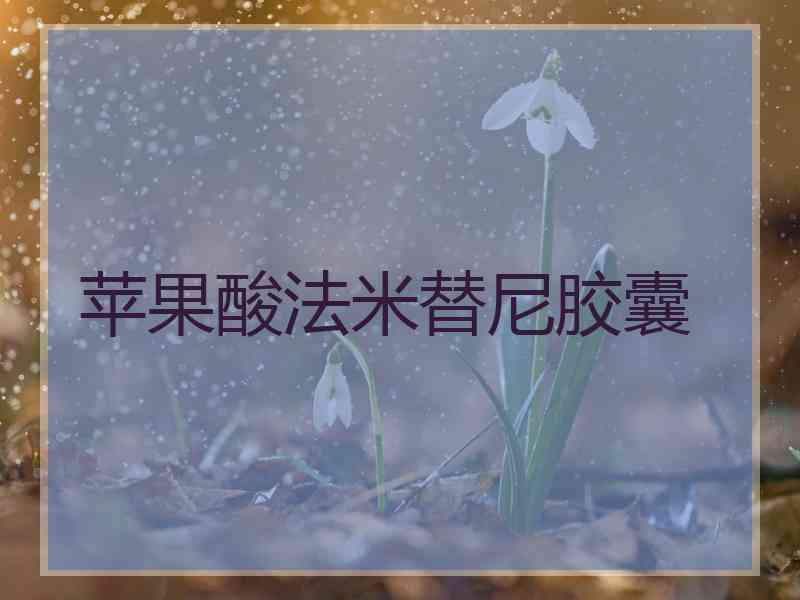 苹果酸法米替尼胶囊