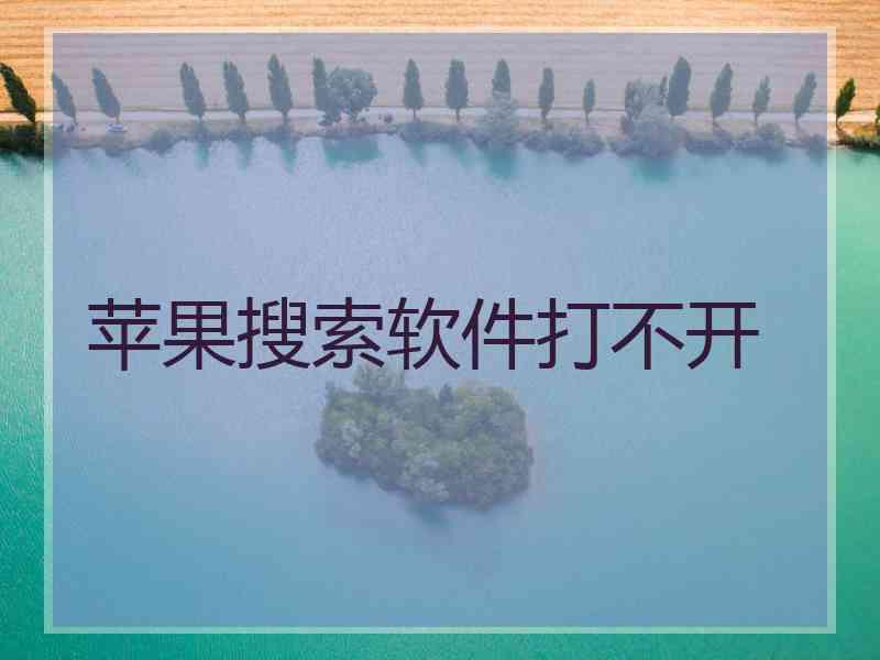 苹果搜索软件打不开