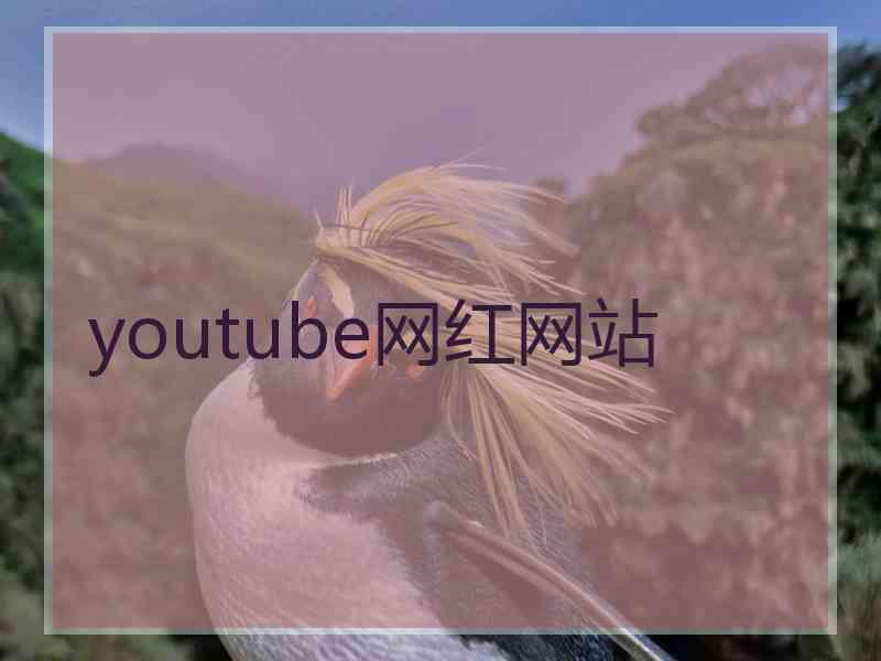 youtube网红网站