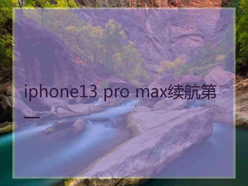 iphone13 pro max续航第一