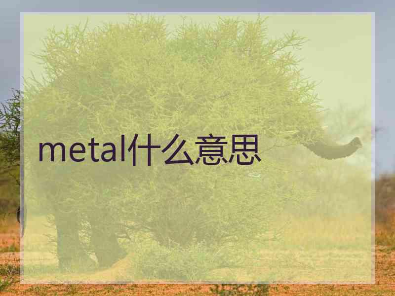 metal什么意思