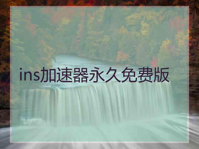 ins加速器永久免费版