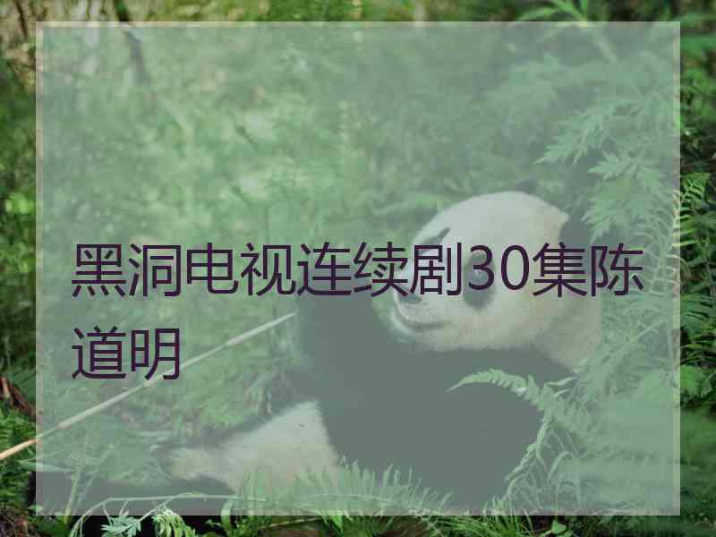 黑洞电视连续剧30集陈道明